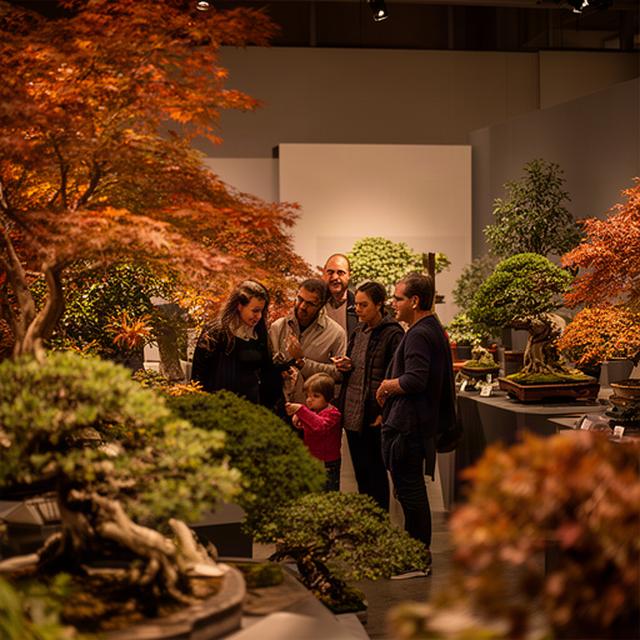 2024年秋の植物展示会で来場者が色づいた樹木と珍しい園芸品種を観察する様子